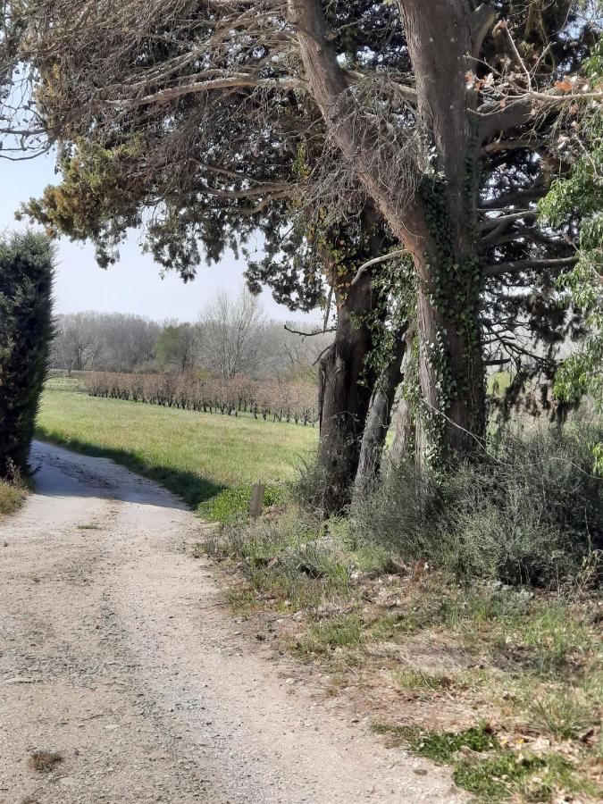 Le Mas Des Oliviers Villa Puget Exterior foto