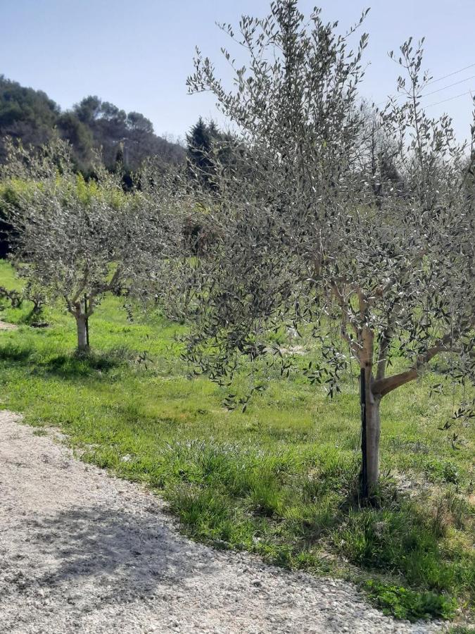 Le Mas Des Oliviers Villa Puget Exterior foto