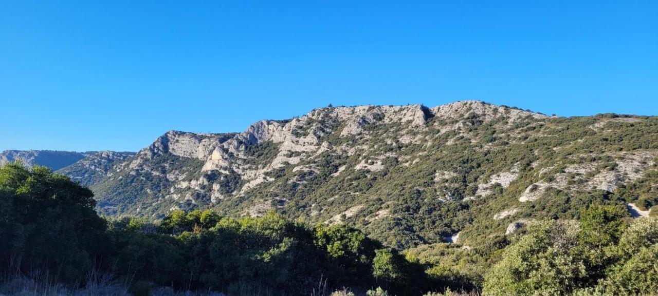 Le Mas Des Oliviers Villa Puget Exterior foto